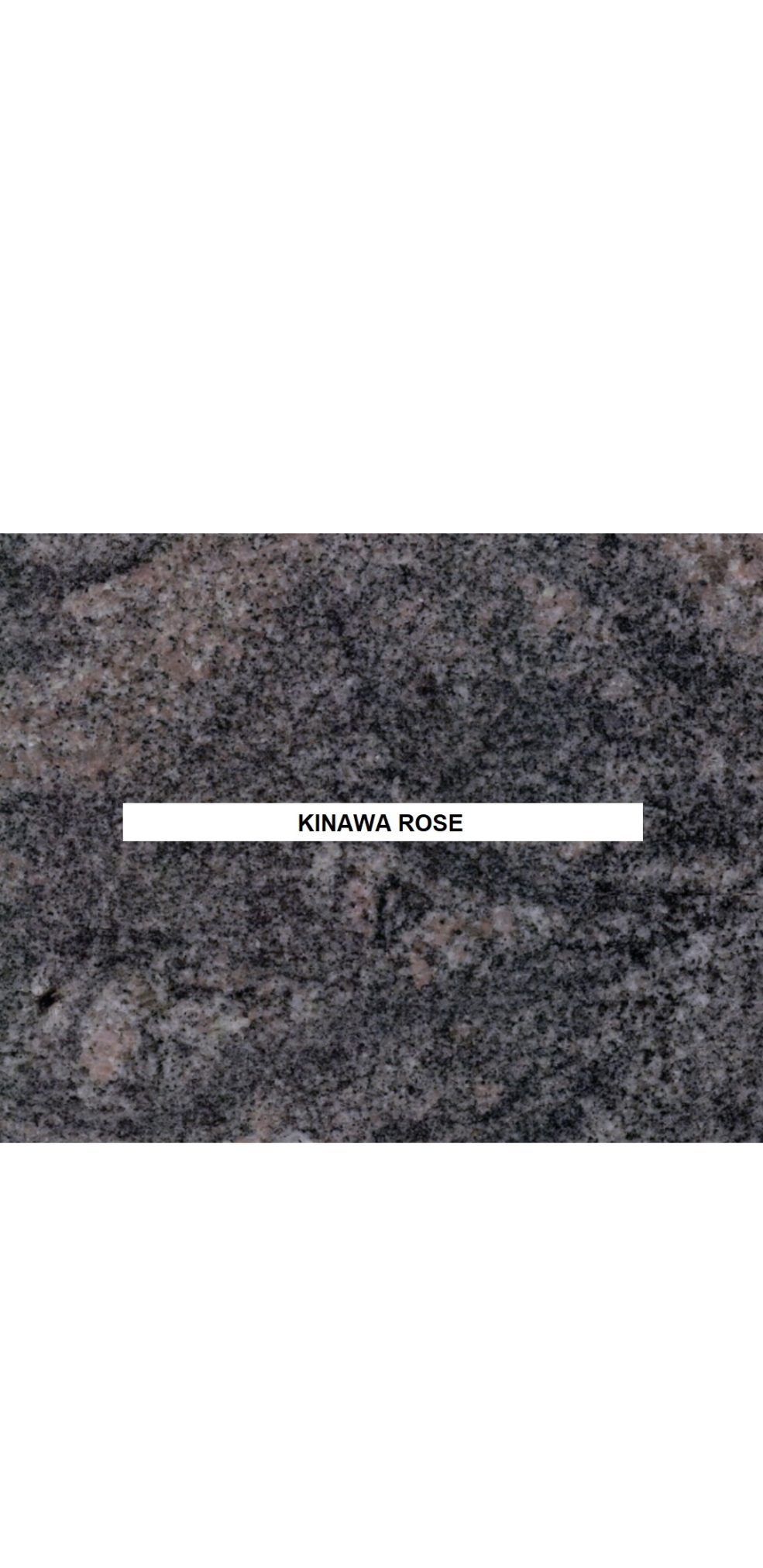 Okinawa rose